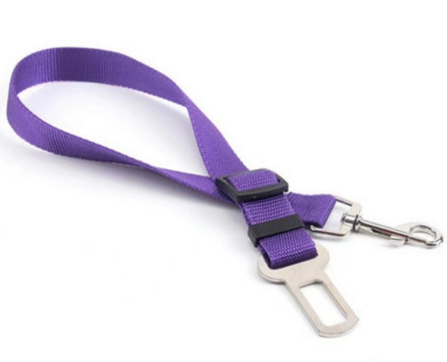 Dog Seat Belt