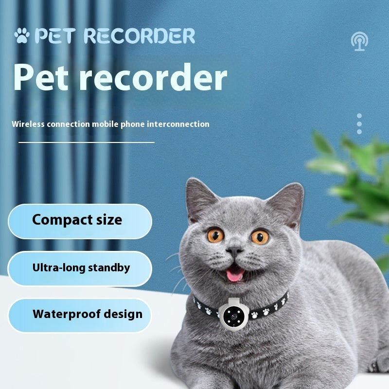 Motion Tracking Collar for Pets with Recording – Bubbitas