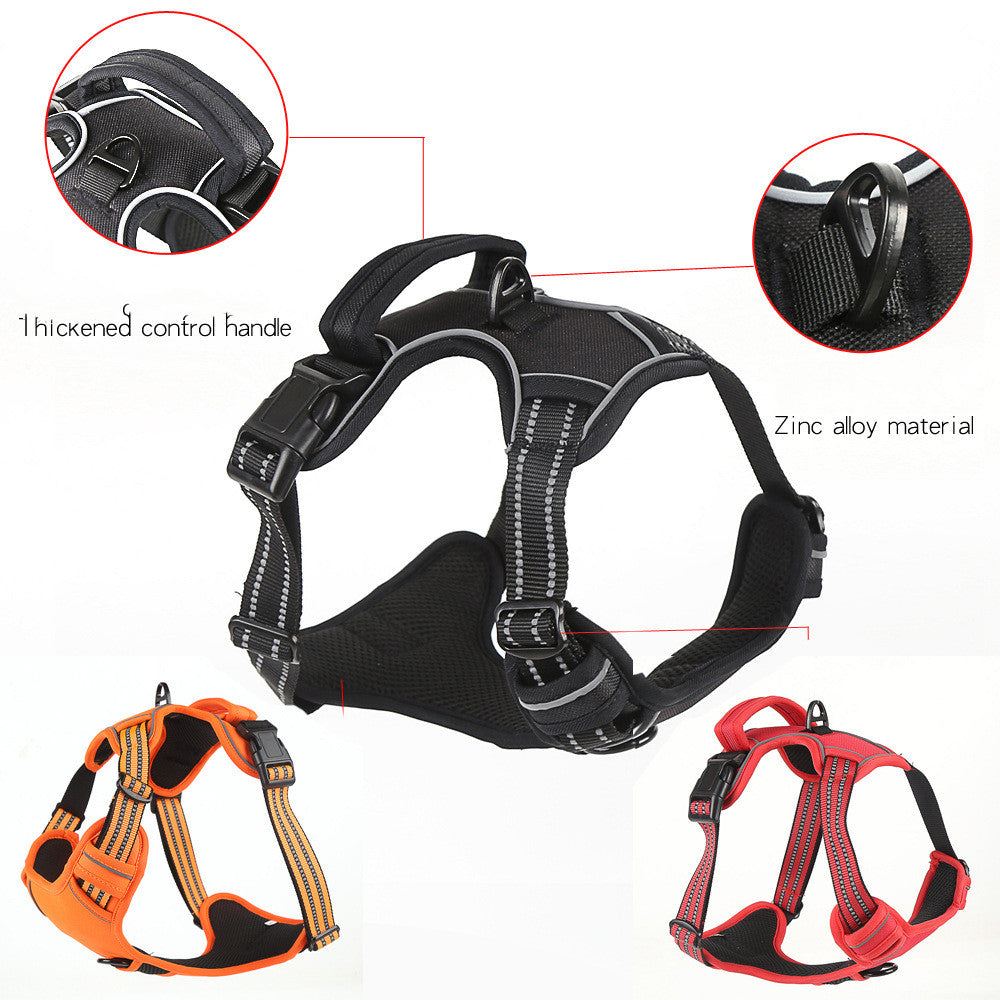 Best No Pull Harness