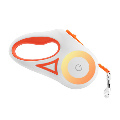 Interactive Retractable Dog Leash and Collar with Light – Bubbitas