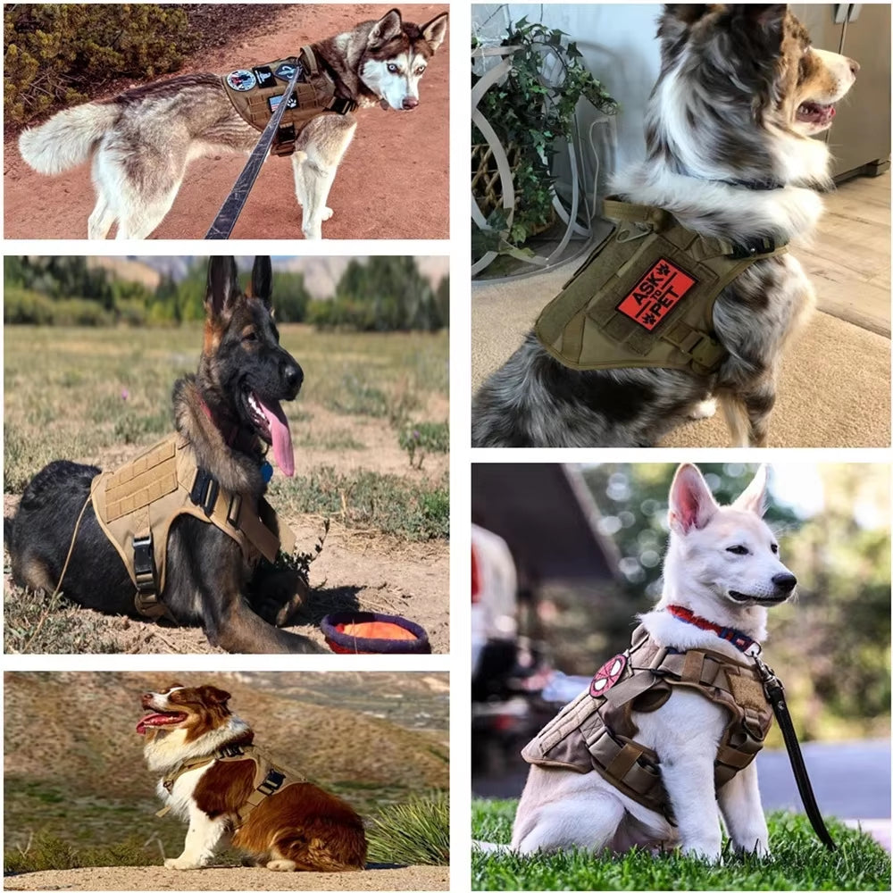 Luxury Pet Chest Nylon Camouflage Dog Leash Set