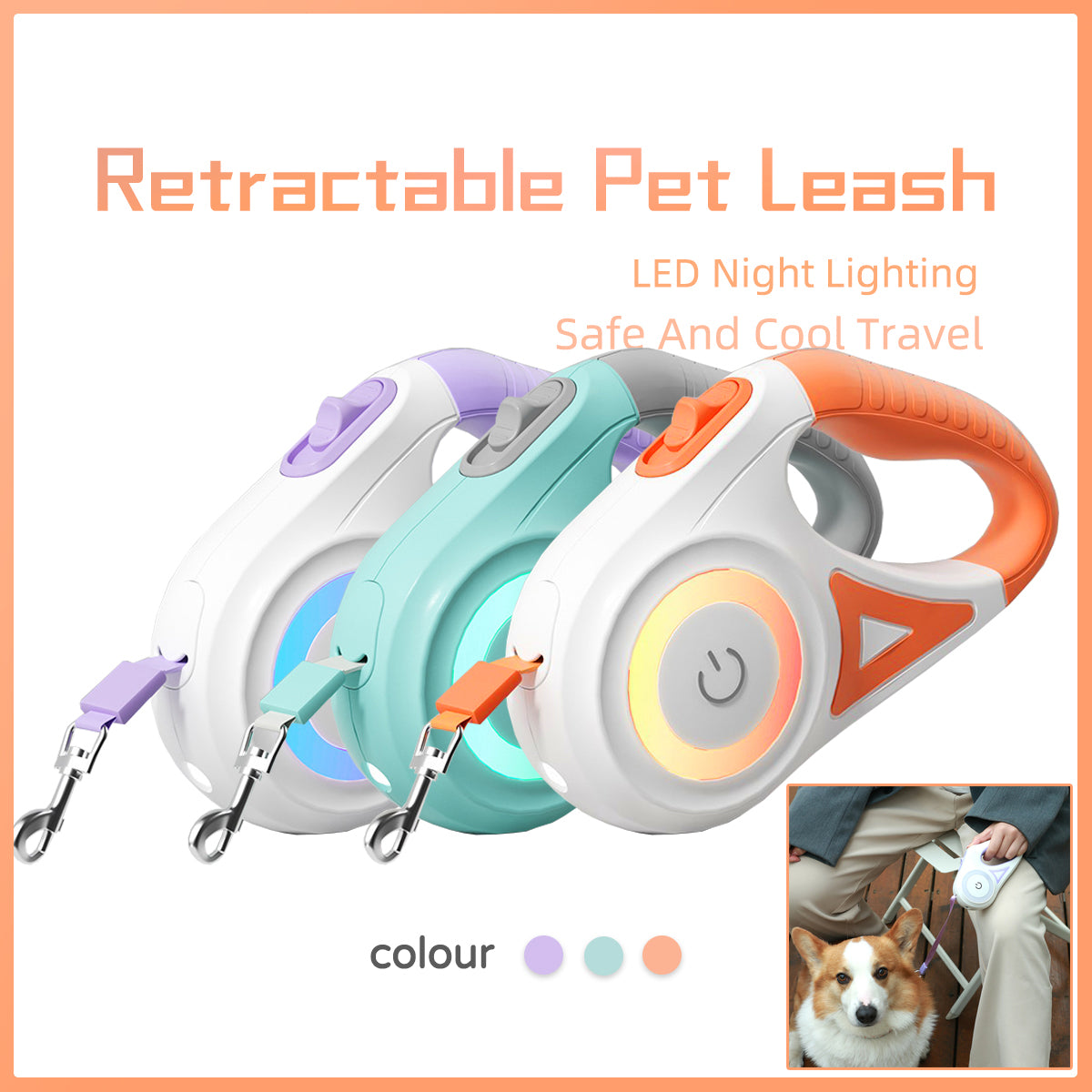 Interactive Retractable Dog Leash and Collar with Light – Bubbitas