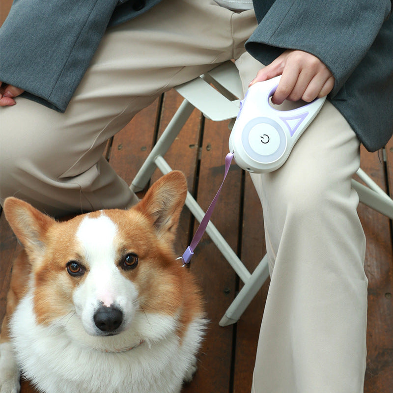 Retractable Spotlight Automatic Dog Collar Leash – Bubbitas