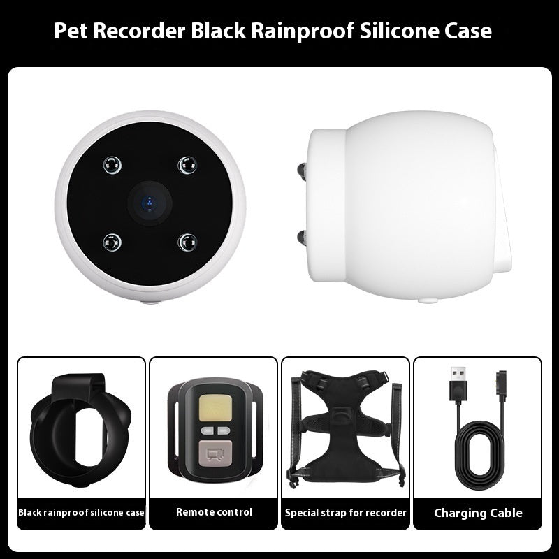 Motion Tracking Collar for Pets with Recording – Bubbitas