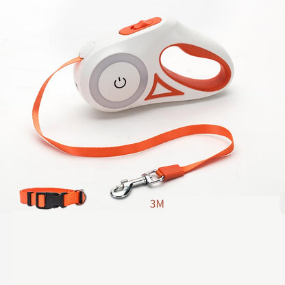 Interactive Retractable Dog Leash and Collar with Light – Bubbitas