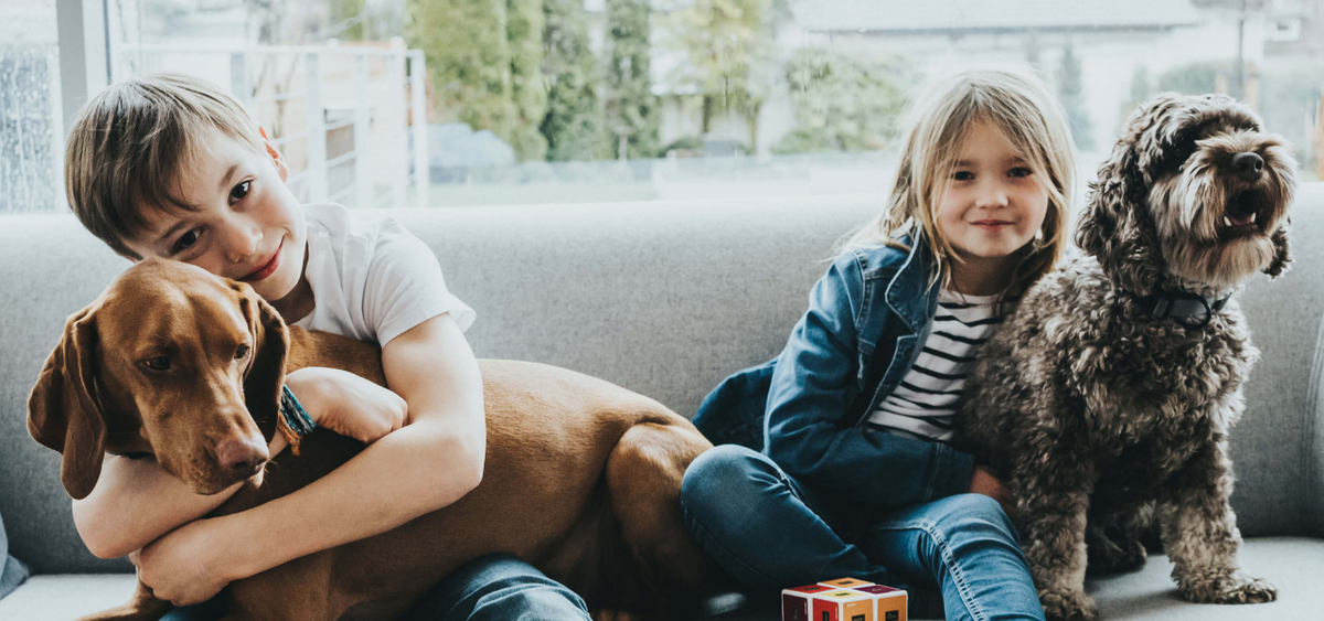 Two children sitting on a couch with two dogs, one of them holding a dog.