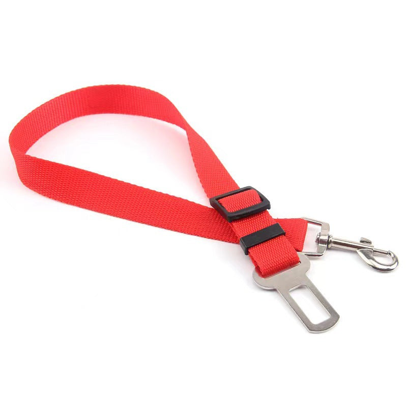 Dog Seat Belt