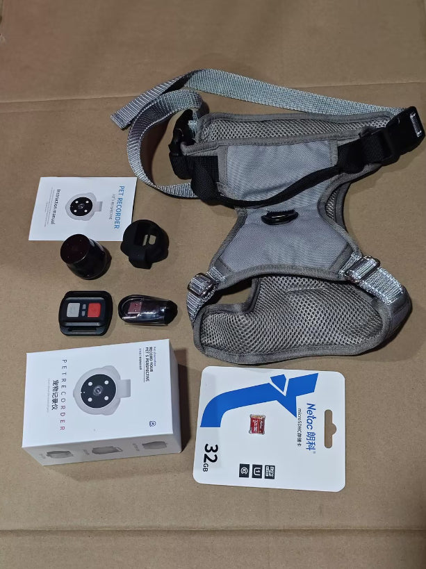 Motion Tracking Collar for Pets with Recording – Bubbitas