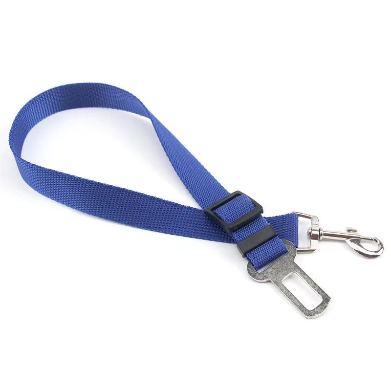 Dog Seat Belt