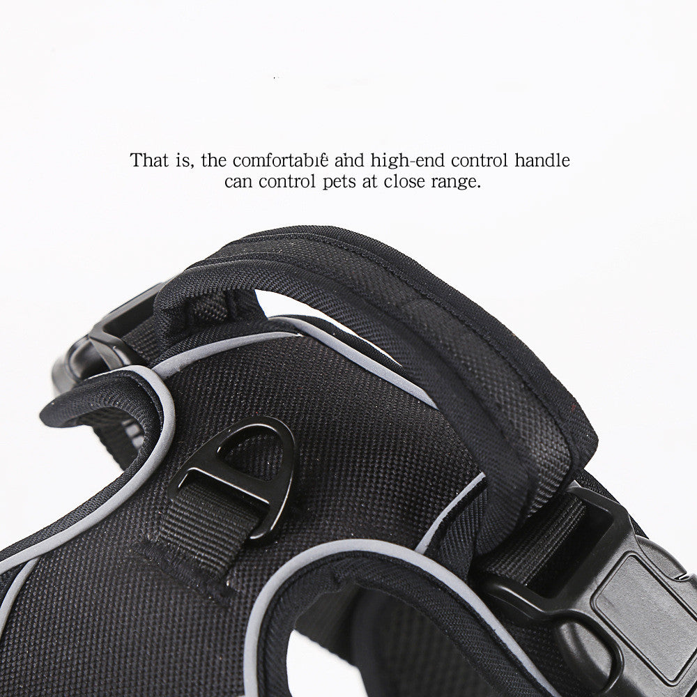 Best No Pull Harness