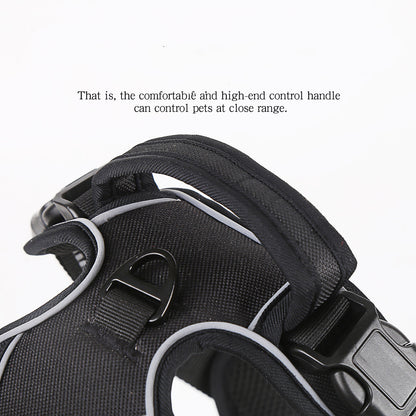 Best No Pull Harness