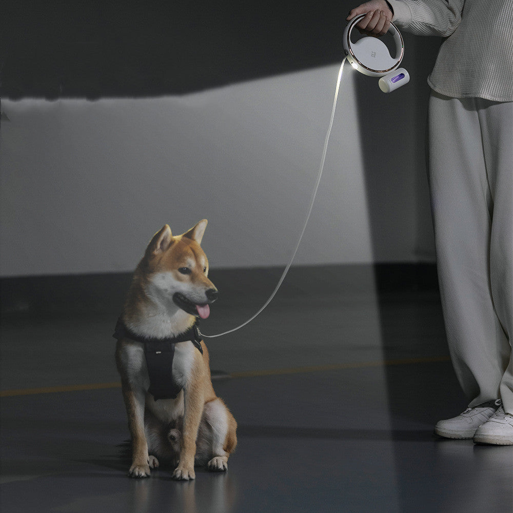 Automatic Lighting Retractable Dog Leash – Bubbitas
