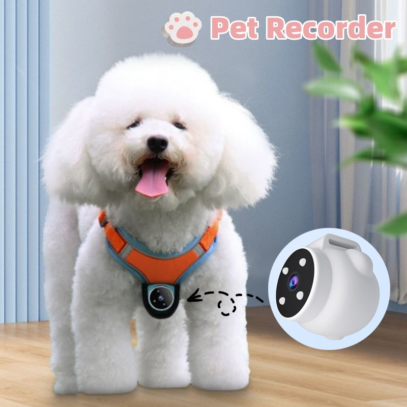 Pets Angle Motion Recording & Tracker Collar – Bubbitas
