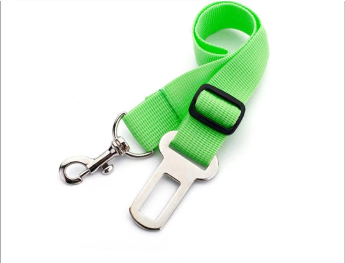 Dog Seat Belt