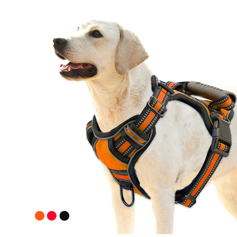 Best No Pull Harness