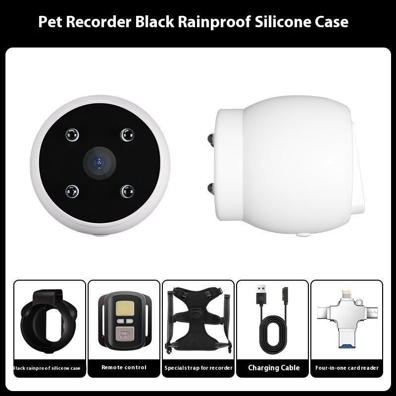 Pet Activity Tracker Collar with Motion Recording – Bubbitas