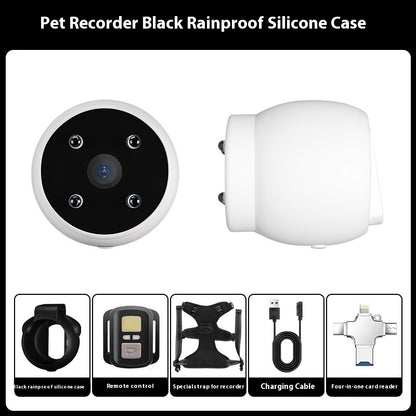 Pet Activity Tracker Collar with Motion Recording – Bubbitas